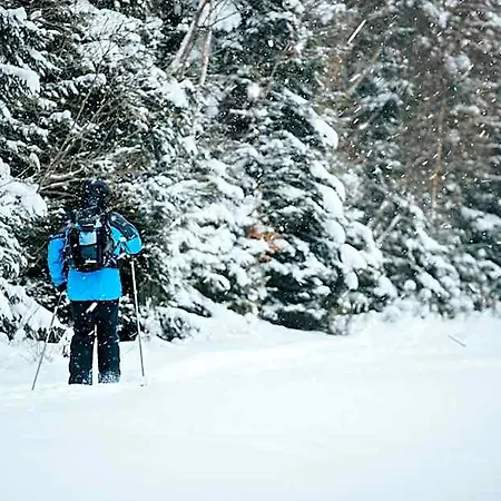 Hotel Stacja - Cisza I Komfort 4*